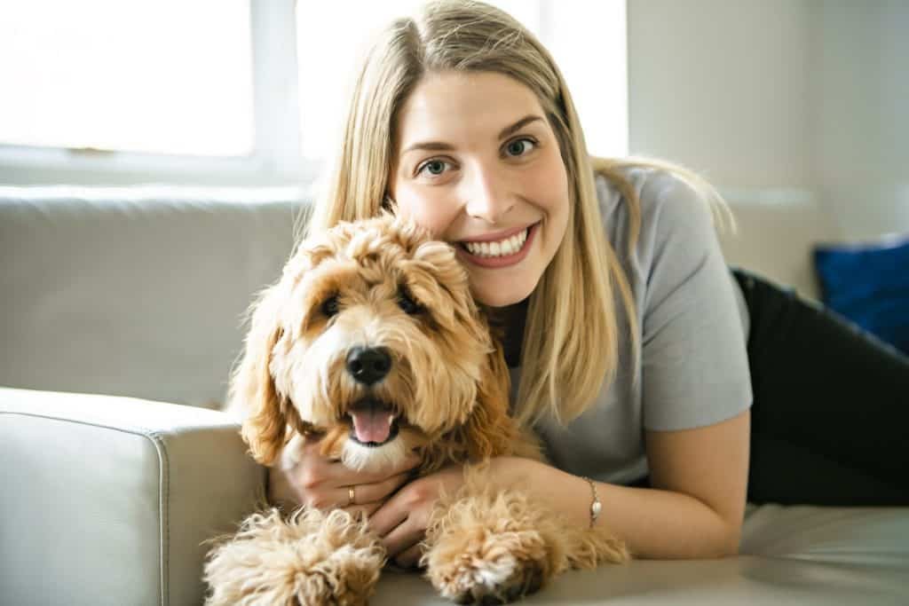 Goldendoodles are good therapy dogs